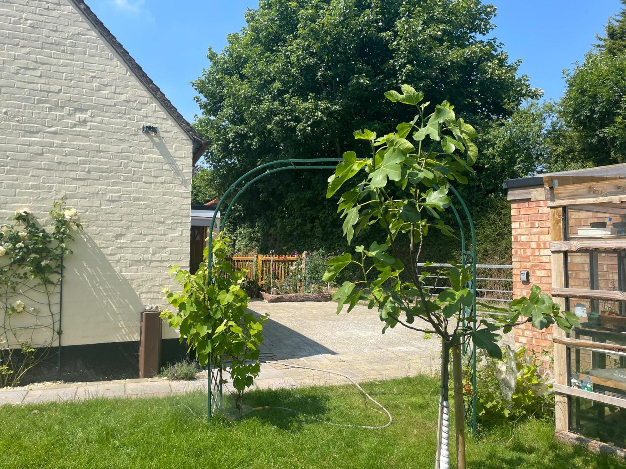Sheldon House - Broadway - Cotswolds Villa Екстериор снимка
